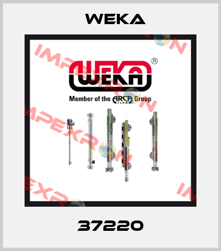 37220 Weka