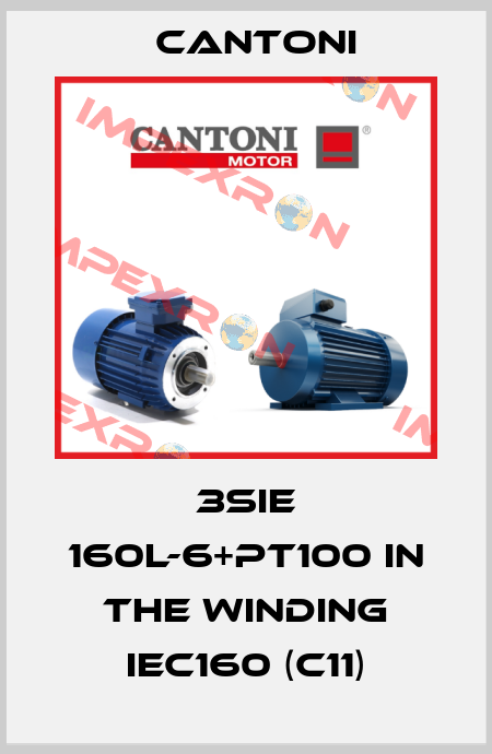 3SIE 160L-6+PT100 in the winding IEC160 (C11) Cantoni