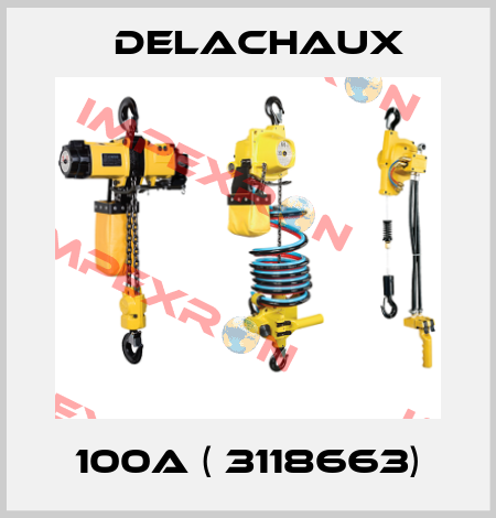 100A ( 3118663) Delachaux