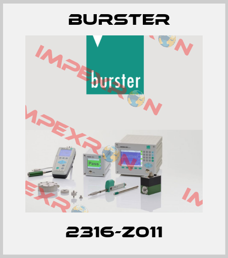 2316-Z011 Burster
