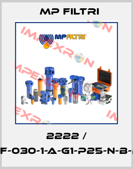 2222 / MPF-030-1-A-G1-P25-N-B-P01 MP Filtri