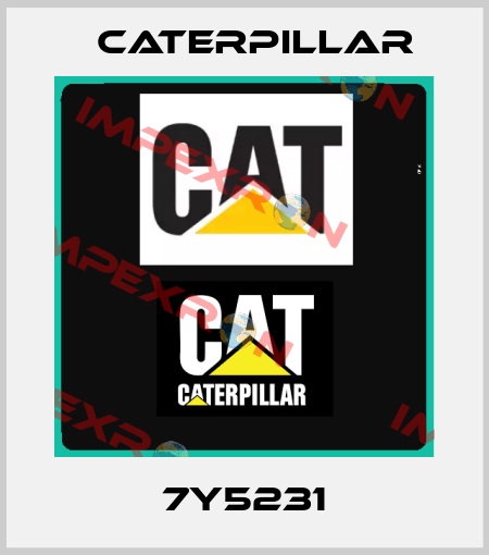 7Y5231 Caterpillar