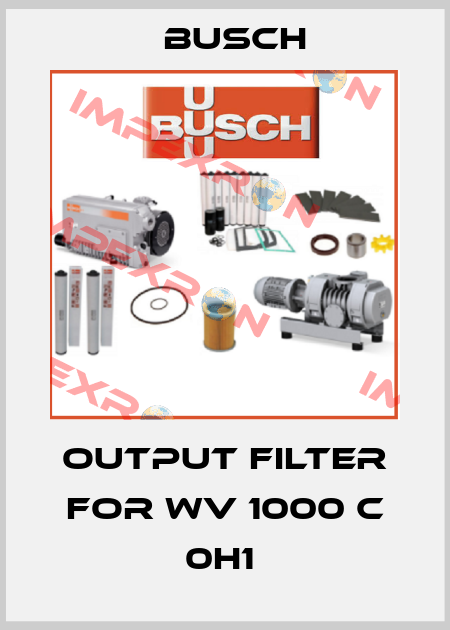 Output filter for WV 1000 C 0H1  Busch