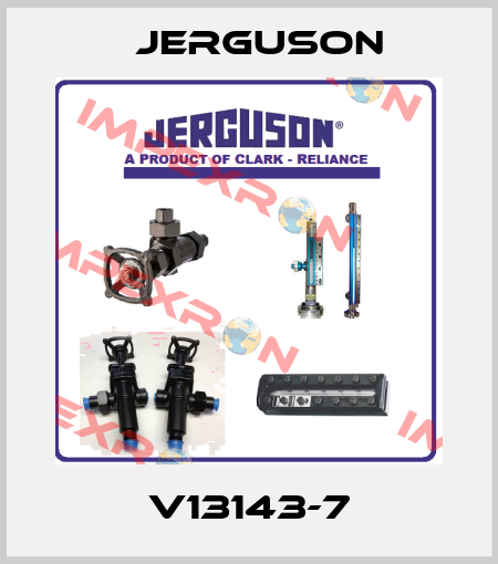 V13143-7 Jerguson