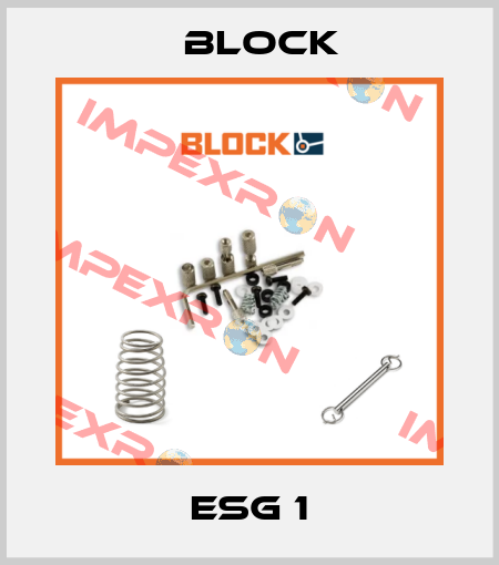 ESG 1 Block