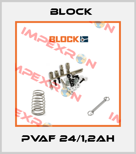 PVAF 24/1,2Ah Block