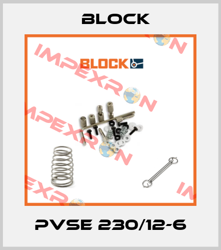PVSE 230/12-6 Block