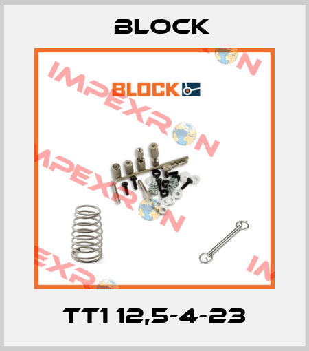 TT1 12,5-4-23 Block