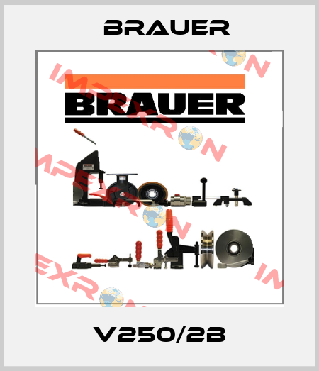 V250/2B Brauer