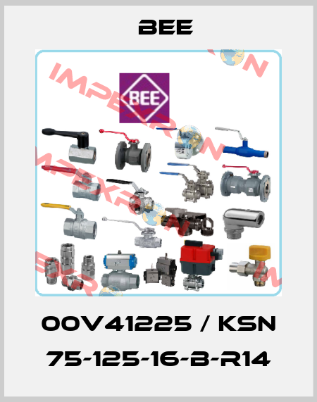 00V41225 / KSN 75-125-16-B-R14 BEE
