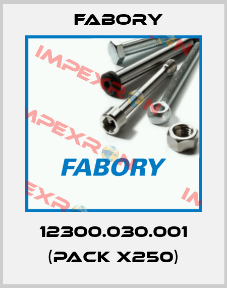 12300.030.001 (pack x250) Fabory