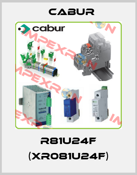 R81U24F (XR081U24F) Cabur