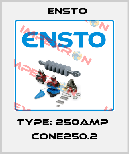 Type: 250Amp  CONE250.2 Ensto