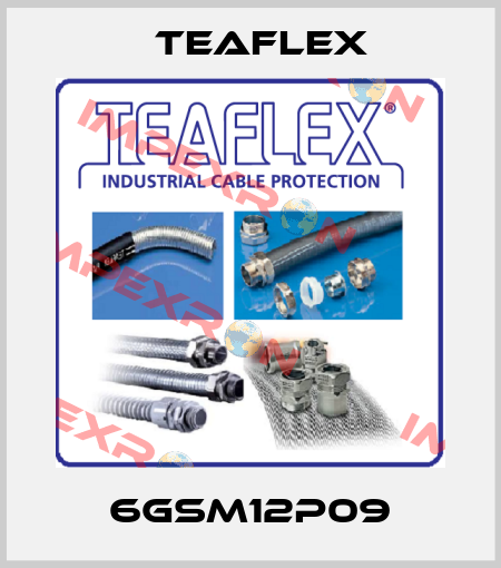 6GSM12P09 Teaflex