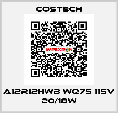 A12R12HWB WQ75 115V 20/18W Costech