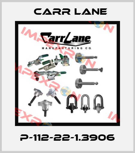 P-112-22-1.3906 Carr Lane