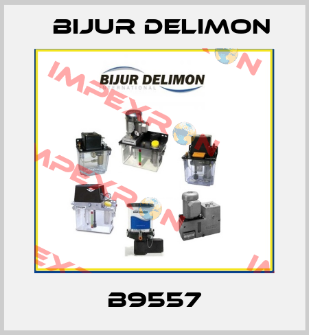 B9557 Bijur Delimon