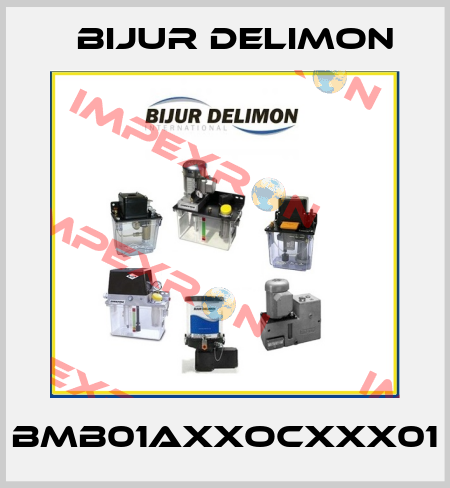 BMB01AXXOCXXX01 Bijur Delimon