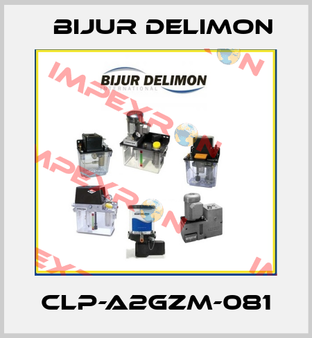CLP-A2GZM-081 Bijur Delimon