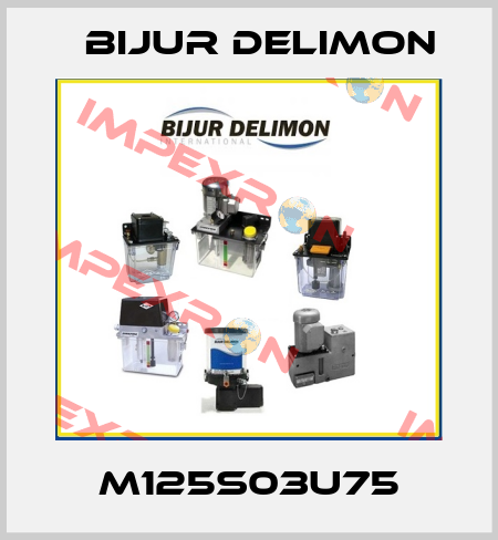 M125S03U75 Bijur Delimon