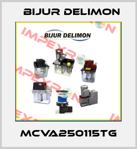 MCVA250115TG Bijur Delimon