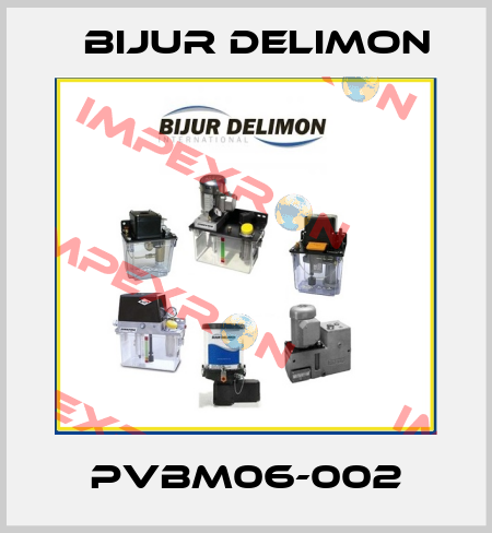 PVBM06-002 Bijur Delimon