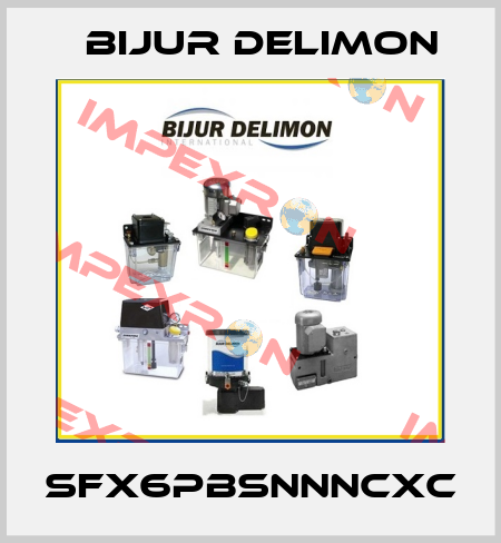 SFX6PBSNNNCXC Bijur Delimon
