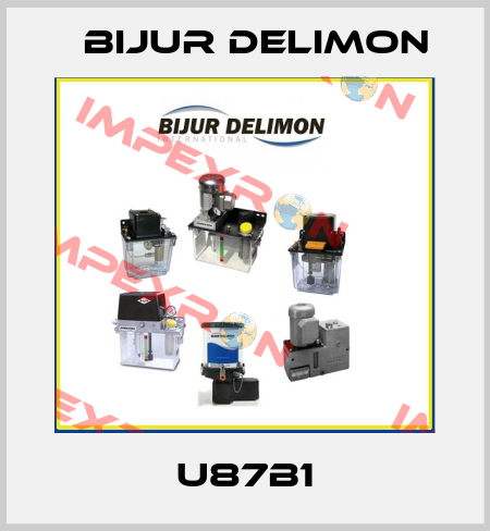 U87B1 Bijur Delimon