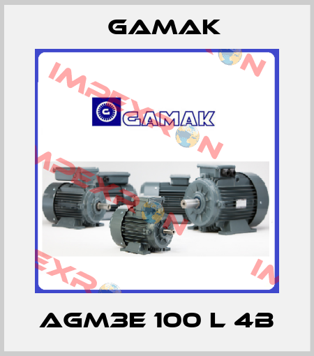 AGM3E 100 L 4b Gamak