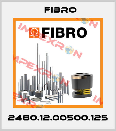 2480.12.00500.125 Fibro