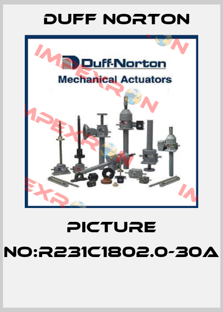 PICTURE NO:R231C1802.0-30A  Duff Norton