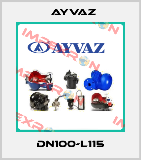 DN100-L115 Ayvaz