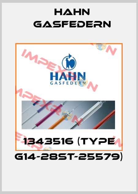 1343516 (Type G14-28ST-25579) Hahn Gasfedern