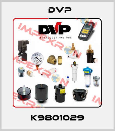 K9801029 DVP