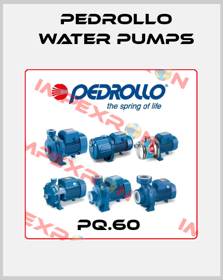 PQ.60  Pedrollo Water Pumps