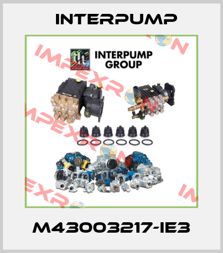 M43003217-IE3 Interpump