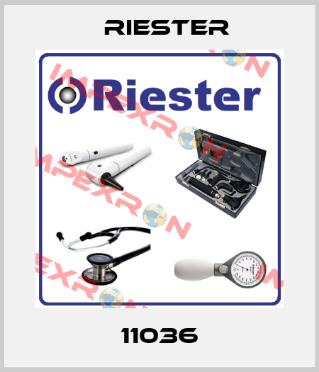 11036 Riester