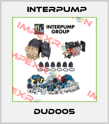 DUD005 Interpump