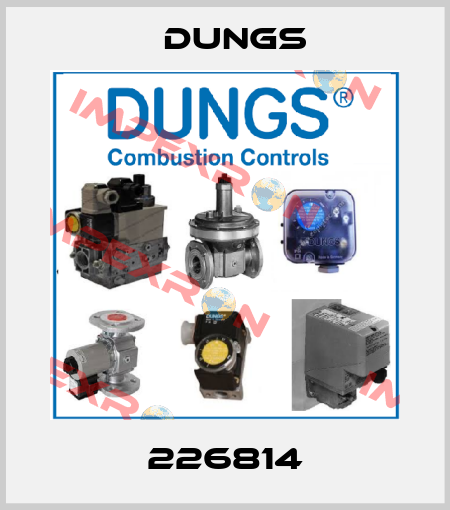 226814 Dungs