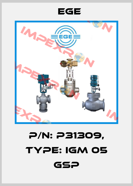 p/n: P31309, Type: IGM 05 GSP Ege