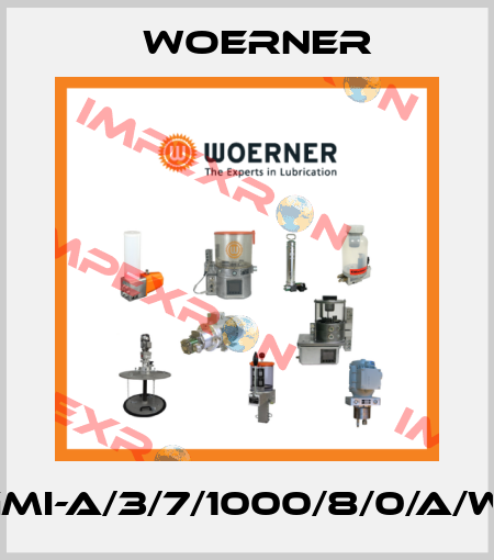 GMI-A/3/7/1000/8/0/A/W1 Woerner
