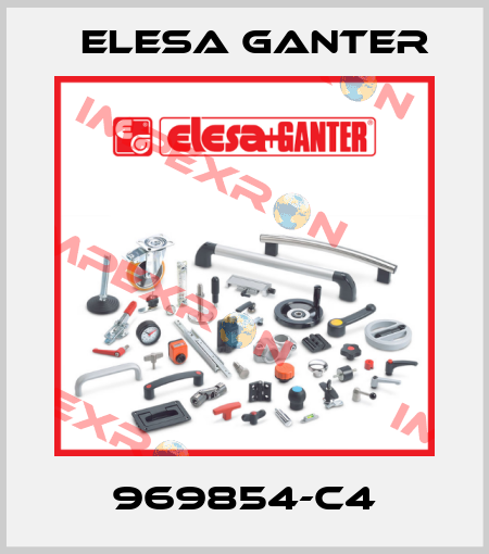 969854-C4 Elesa Ganter