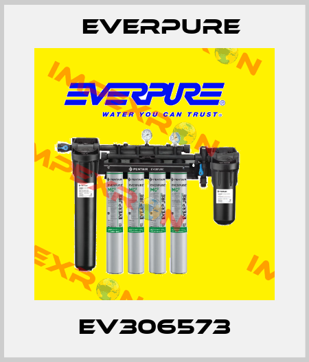 EV306573 Everpure