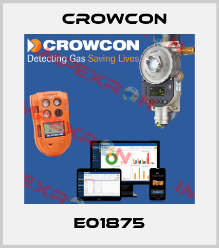 E01875 Crowcon