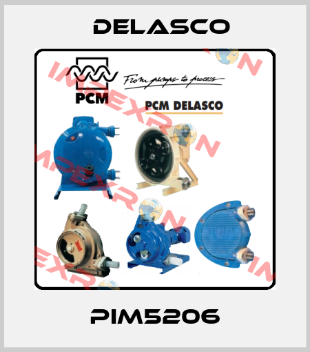 PIM5206 Delasco