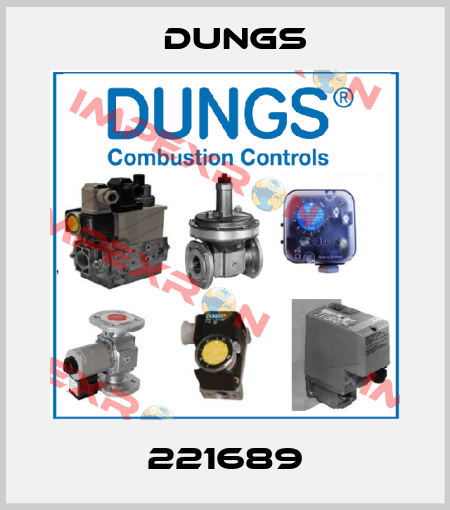 221689 Dungs