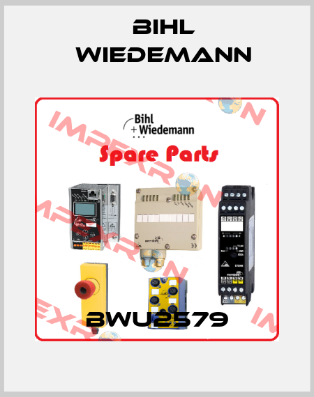 BWU2579 Bihl Wiedemann