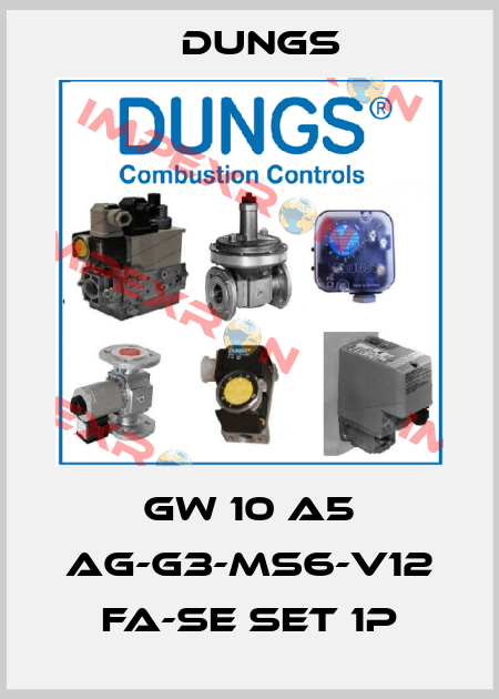 GW 10 A5 Ag-G3-MS6-V12 fa-se Set 1P Dungs