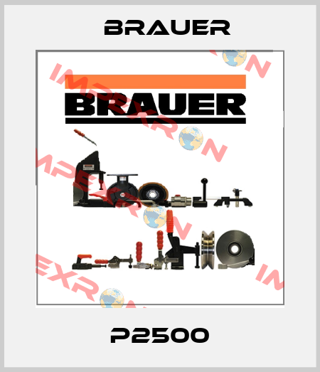 P2500 Brauer