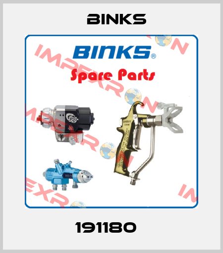 191180   Binks